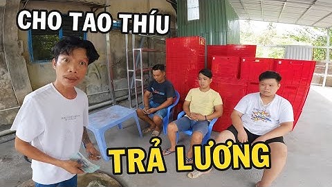 Ông Chủ Trại Cá Betta Trả Lương - Đãi Tiệc Khánh Thành Trang Trại Mới