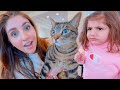 CAT MEETS BABY FOR THE FIRST TIME *cuteness overload*