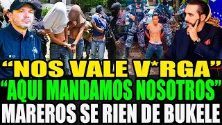CAYÓ "EL TITO" 😱 PELIGROSO P4NDILLERO DE LOS MS-13 RETÓ A BUKELE Y ASÍ TERMINÓ.🤬