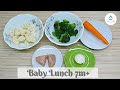 Lunch for baby 7 months  chicken and vegetable baby food recipe