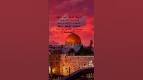 قران كريم حالات واتس اب اللهم ارحم موتانا فلسطين القدس #كلنا _حي_شيخ_جراح ✌