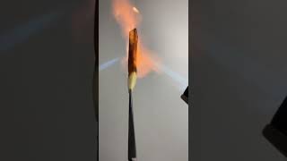 Lighter vs French Fry 