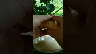 Kue Bantal Versi Mini