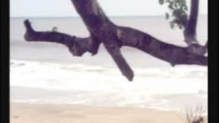 Suratan - Rhoma Irama ft. Riza Umami - OST Film Tabir Biru