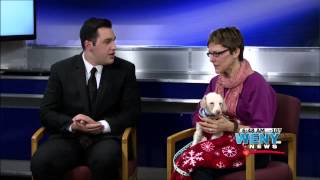 Chemung SPCA Interview GMTT 2 16