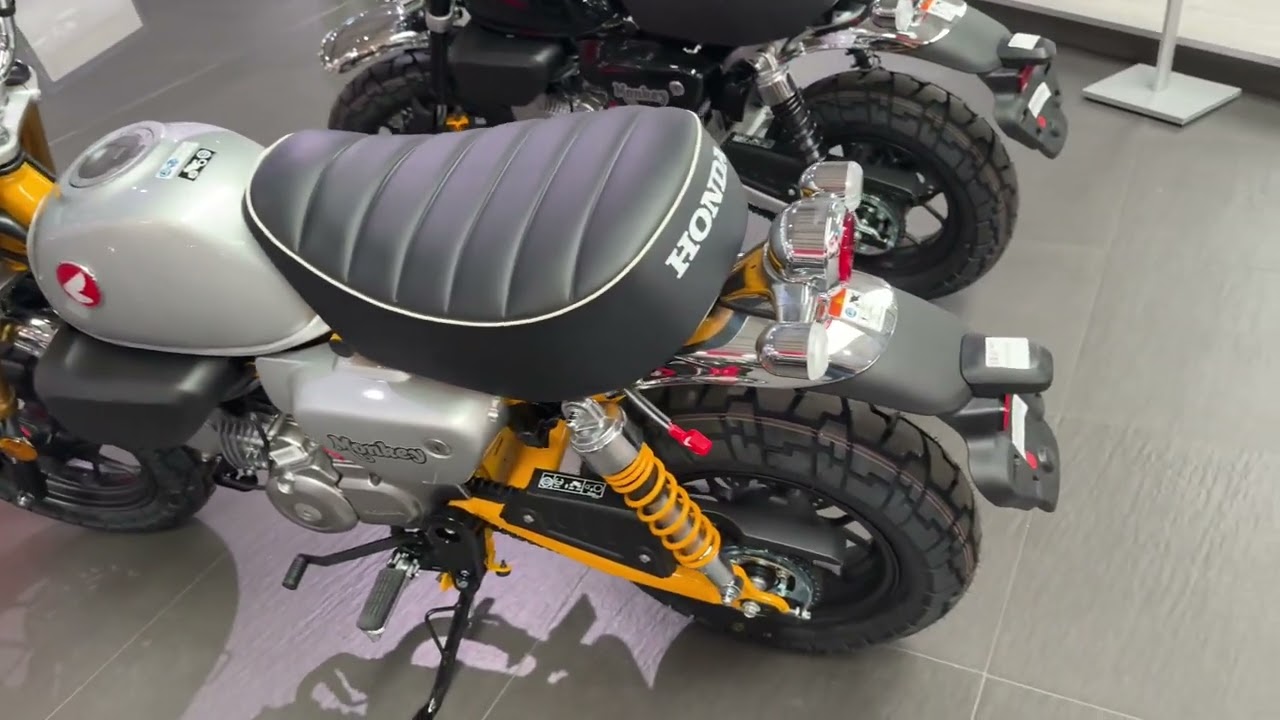 Honda Monkey ❌2025❌ Mini Bike KULT