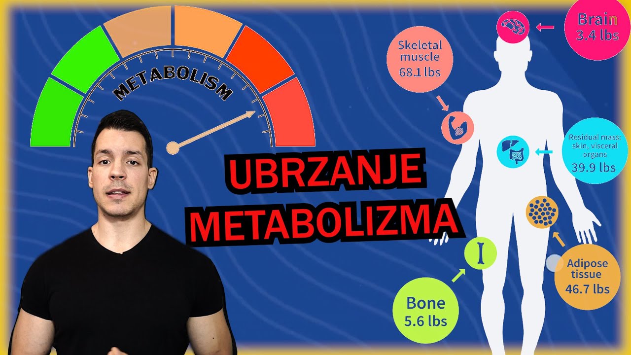 -KAKO IZLEČITI USPOREN METABOLIZAM-