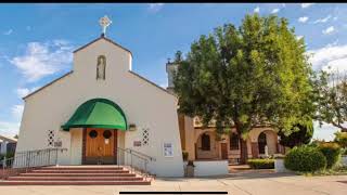 Live Virtual Mass: Eleventh Sunday in Ordinary Time