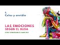 Celos y envidia: Un profundo malentendido- "Las emociones según el Buda 8"