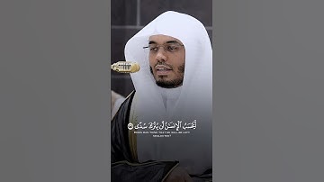 ﴿ أيحسب الإنسان أن يترك سدى ﴾ | تلاوة خاشعة للشيخ ياسر الدوسري من صلاة العشاء - 4 صفر 1447هـ