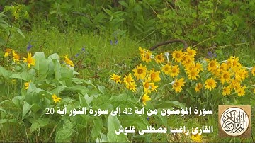 المصحف المرتل للشيخ راغب مصطفى غلوش - سورة المؤمنون من آية 42 إلى سورة   النور آية 20