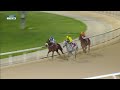 RM 36 Al Rayyan Race 5- Rodat Al Maida Cup
