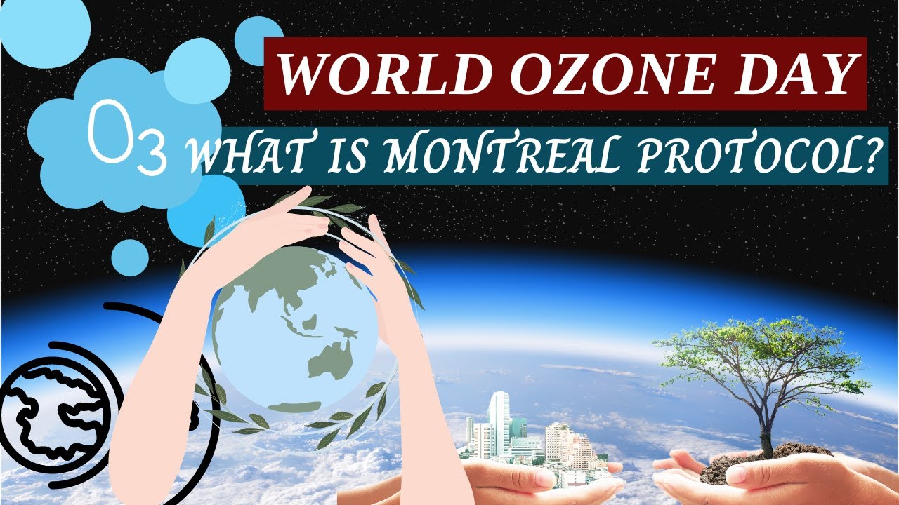 Ozone global. Озон глобал. ozon global.