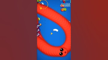 🐍😱 Worms Zone io magic video|🔥 Big vs Small snake fight #shorts #snake #game #wormszone #pro_snake