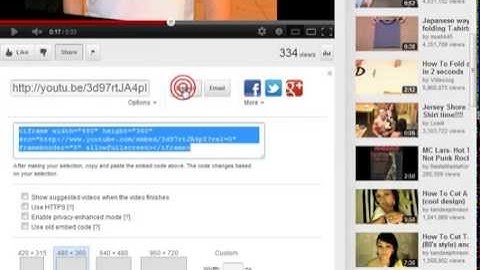 Adding A YouTube Video To Any WordPress Post Or Page