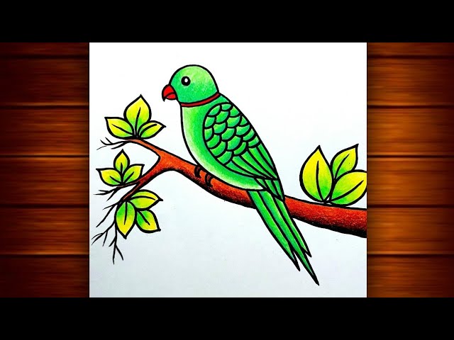 How To Draw A Parrot For Beginners, Step by Step, Drawing Guide, by Dawn -  DragoArt