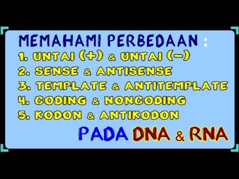 Video: Perbedaan Antara Codon Dan Anticodon