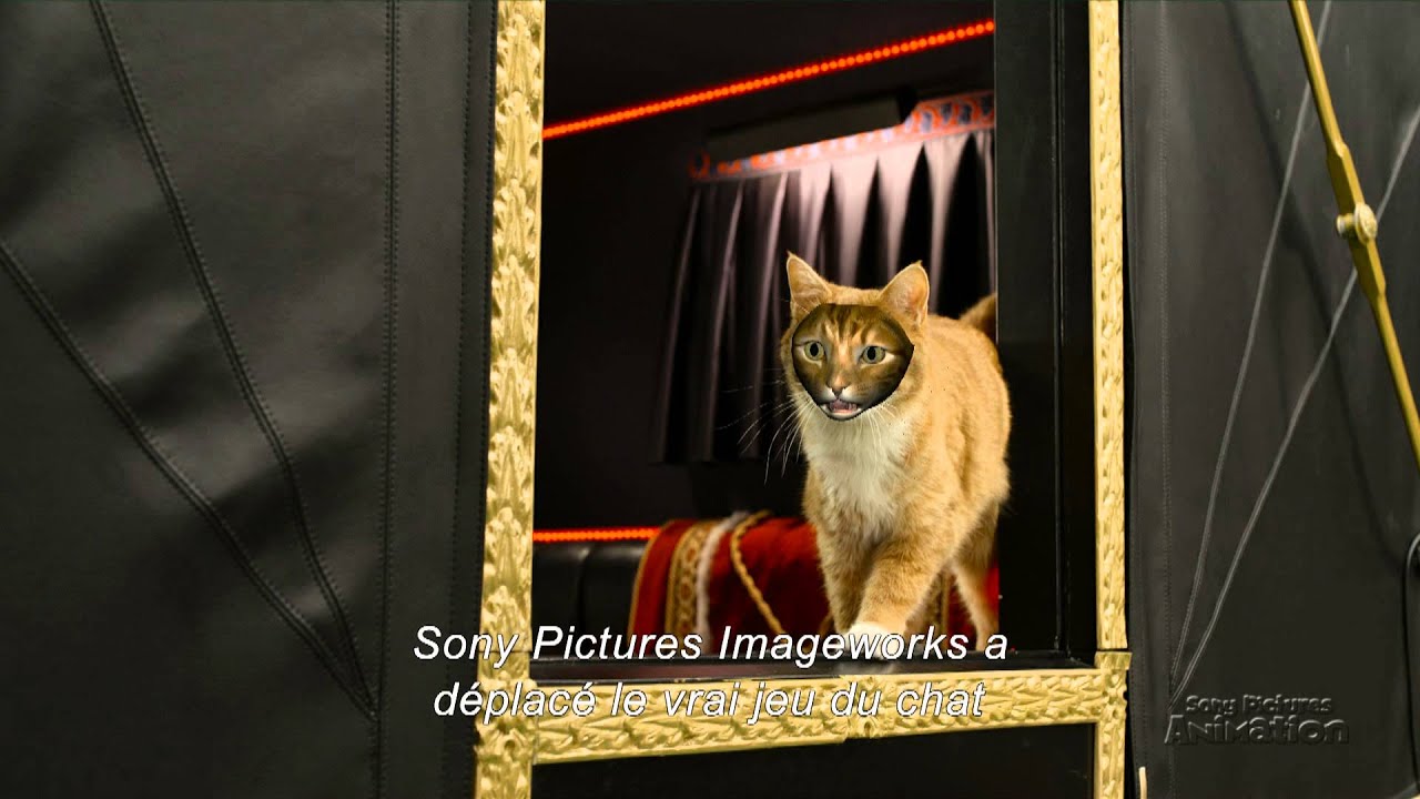 Les Schtroumpfs 2 L Animation D Azrael Francais Sub A Partir De Maintenant De Dvd Et Blu Ray Youtube