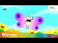 तितली उडी और अन्य लोकप्रिय हिंदी बच्चों के कविता  | Shemaroo Kids