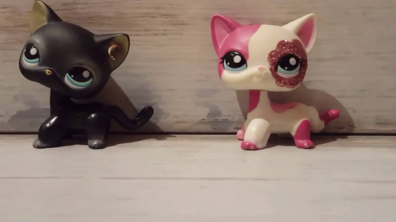 Moja kolekcja LPS unikaty shorthair Comic con kitty pet shop 1 YouTube