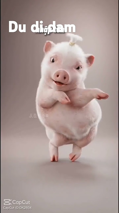 đu đi dam dam#shrot