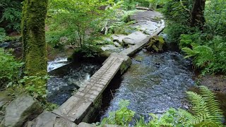 The Rivelin Valley Trail Walk, English Countryside 4K