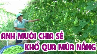 ANH MƯỜI CHIA SẺ KHỔ QUA MÙA NẮNG - NHÀ NÔNG VIỆT THỰC HIỆN