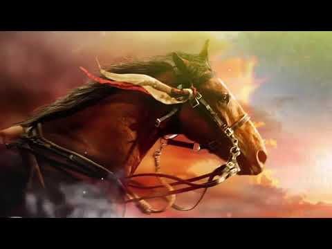 Música Nativa Xamã   Animal De Poder  Cavalo   Determinação e Liberdade de Espírito   Poder Pessoal1