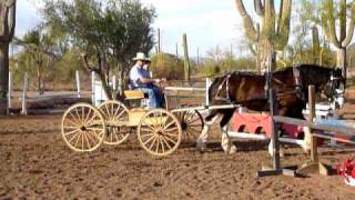 Patrick & Larry taking his sister Terry for a stroll on the Buckboard wagon.