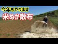 米ぬかを使う目的【土作り】【自然農法】