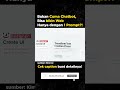 Bikin web hanya dengan satu prompt!?