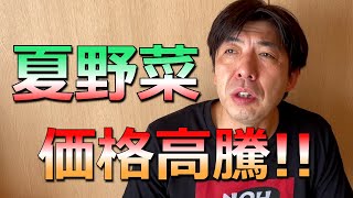 野菜が高騰！きゅうりは例年と比べ8割も！