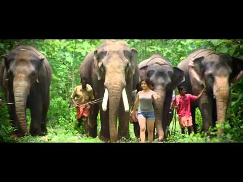 Fun Things to Do in Pathanamthitta | Travel Guide (2024) | Best Places to Visit