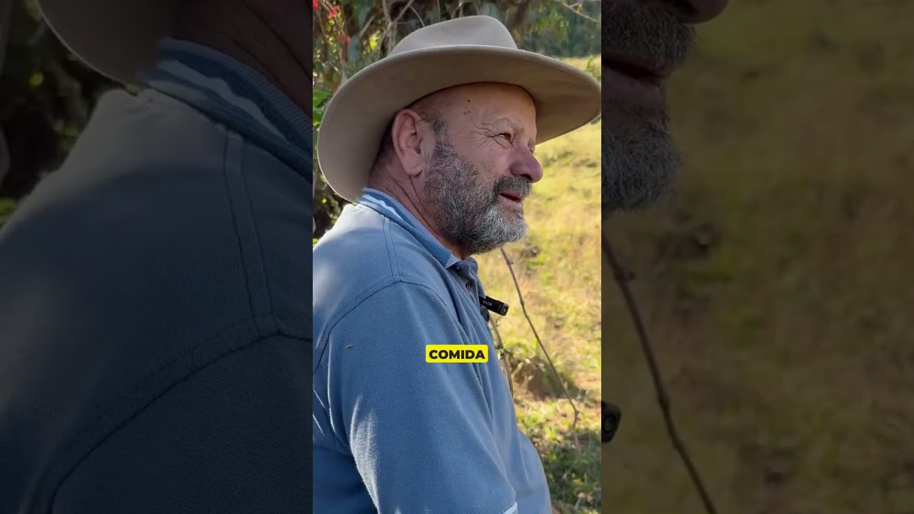 Menos cosas, más vida Aprende a vivir