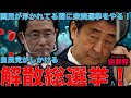 速報！菅内閣総辞職と衆院選電撃解散総選挙。日本の政治問題の本質。法律に基づいて国家を運営すれば日本は復活する！安冨歩教授電話出演。一月万冊