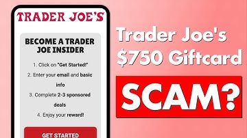 Tjsummer.com Review - $750 Trader Joe