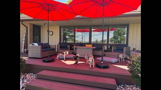 Schnauzer Resort? | Life With Schnauzers