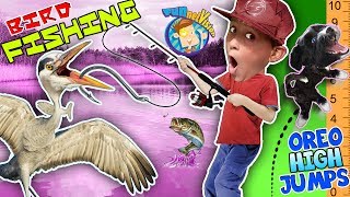 BIRD FISHING Ouch!! Little Dog + Sugar = High Jumps FUNnel V Fam Shawn Reacts Vlog