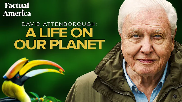 A Life on Our Planet: Sir David Attenborough's Witness Statement