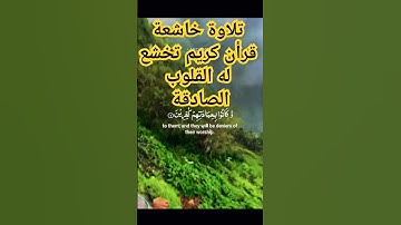 قرأن كريم تخشع له القلوب الصادقة مع الله #قران_كريم #قرآن #المصحف #تلاوات_خاشعة