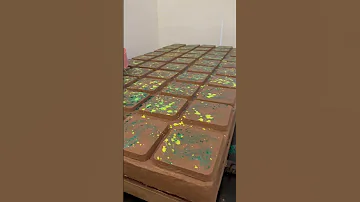 أطول و أكبر شوكولاطة دبي في العالم شاهدوا 