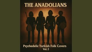 Yeşil Başlı Gövel Ördek