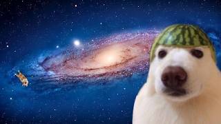 UNUSUAL MEMES COMPILATION V11 *FUNNY*