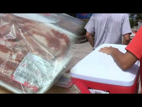 여름 캠핑 불청객 '식중독'…"고기는 아이스박스에"