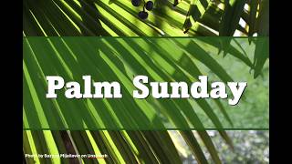 2026 03 29 Palm Sunday Guided Worship Sharing Matthew 21-27 (Selected)