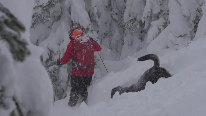Meet Tail Guide Loki from Keefer Lake Lodge Catski...