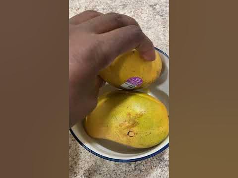 Champagne Mango for Breakfast - YouTube