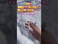 あら?雪積もってるじゃない!寒いと思ったわぁ^〜(小声&似てない) #shorts