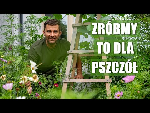 Wideo: Które krzewy przyciągają pszczoły?