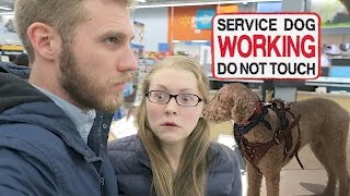 BLACK FRIDAY SERVICE DOG CHALLENGE! (11.24.16) BLACK FRIDAY SERVICE DOG CHALLENGE! (11.24.16)
